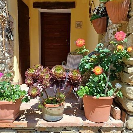 Casa Galla Ovada Extérieur photo